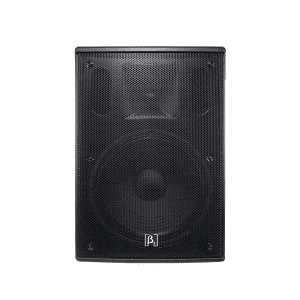 altavoz activo de 12 pulgadas