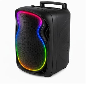 bafle portatil de 12 pulgadas